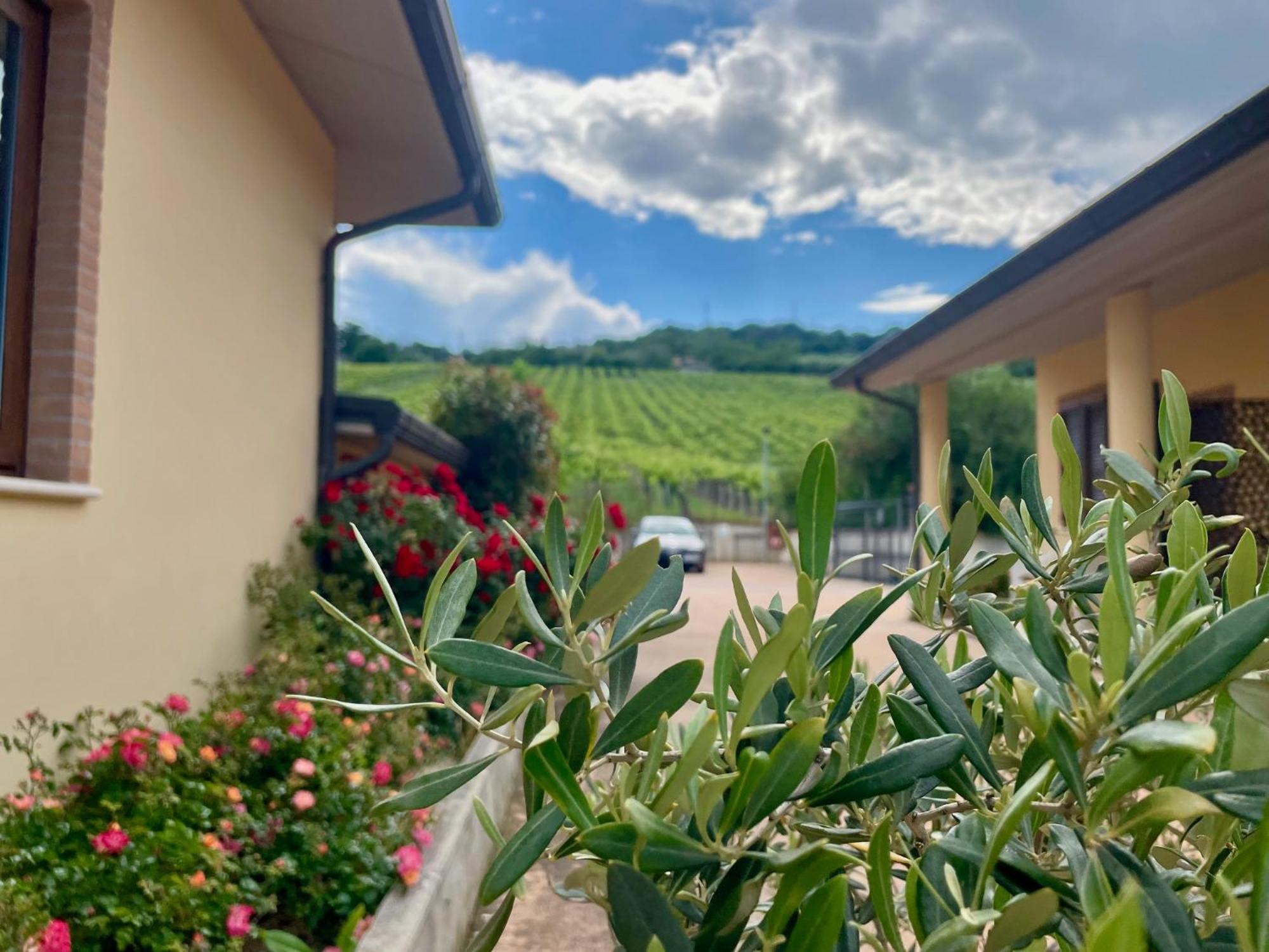 Vigneto - Italian Restaurant & B&B Villa Rosa Di Martinsicuro Exterior photo